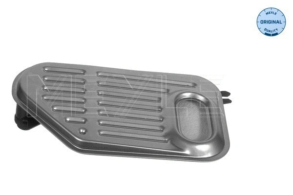 Hydraulic Filter, automatic transmission (100 325 0005)