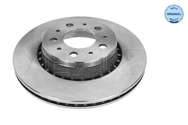 Brake Disc (515 521 5010)