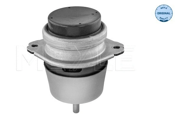 Mounting, engine