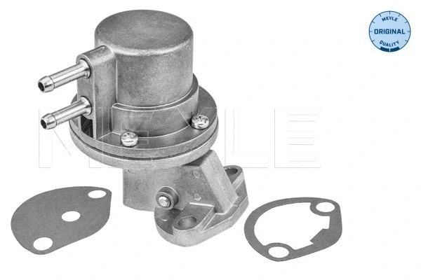 Fuel Pump (100 127 0002)