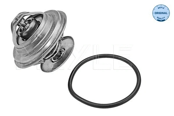 Thermostat, coolant (028 283 0000)