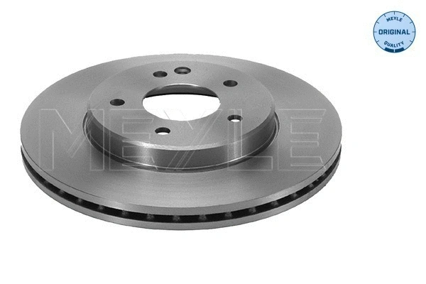Brake Disc (015 521 0035)