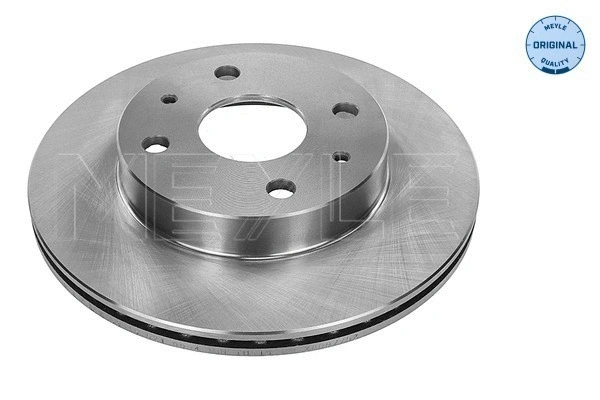 Brake Disc (39-15 521 0004)