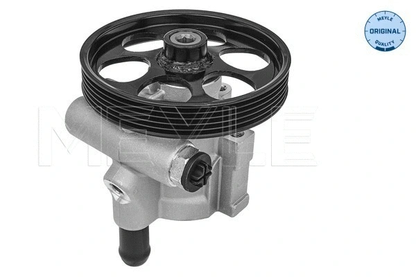 Hydraulic Pump, steering (16-16 631 0002)
