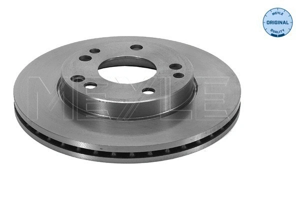 Brake Disc (015 521 2024)