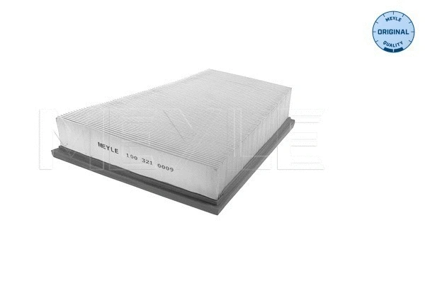 Air Filter (100 321 0009)