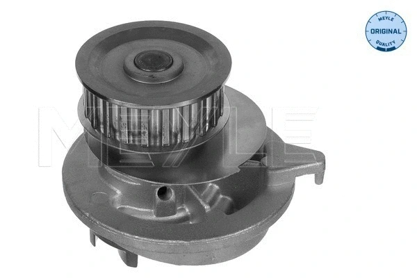 Water Pump, engine cooling (613 600 0568)