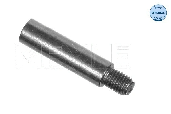 Guide Bolt, brake caliper (100 698 0008)