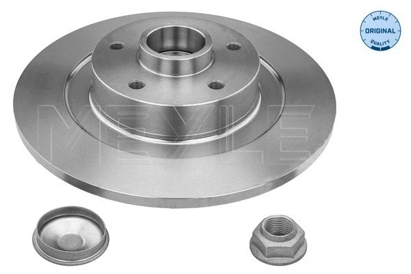 Brake Disc (16-15 523 4119)