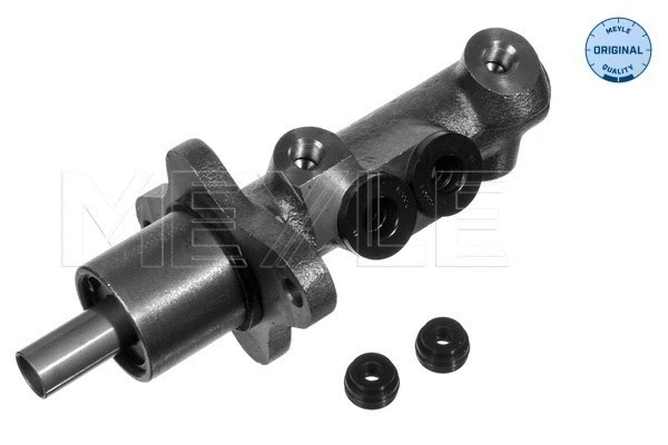 Brake Master Cylinder (100 698 0010)