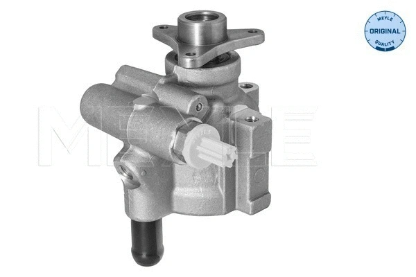 Hydraulic Pump, steering (16-14 631 0000)