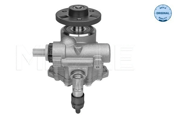 Hydraulic Pump, steering (314 631 0020)