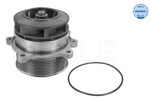 Water Pump, engine cooling (233 045 1331)