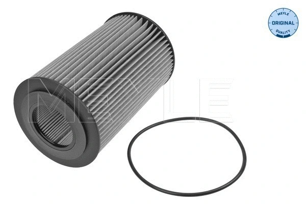 Oil Filter (534 323 0002)