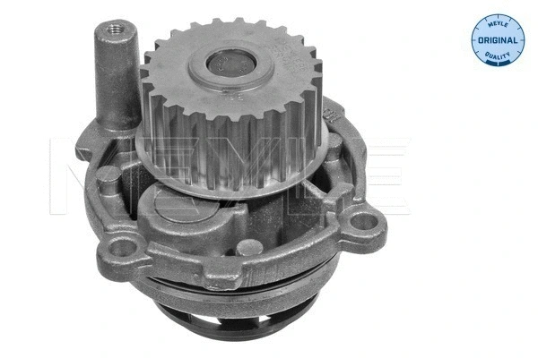 Water Pump, engine cooling (113 012 0052)