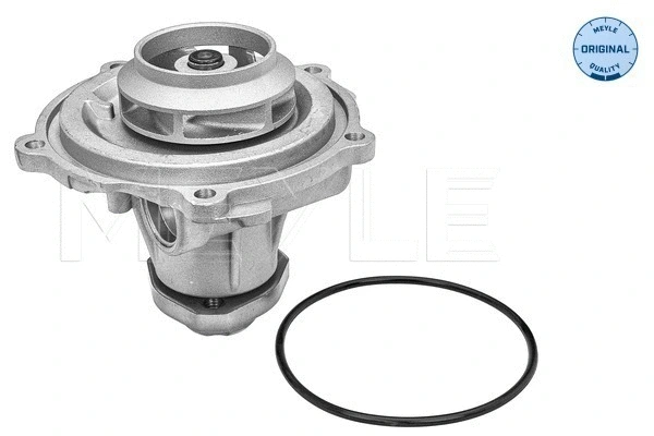 Water Pump, engine cooling (113 012 0031)