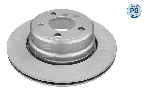 Brake Disc (315 523 0055/PD)