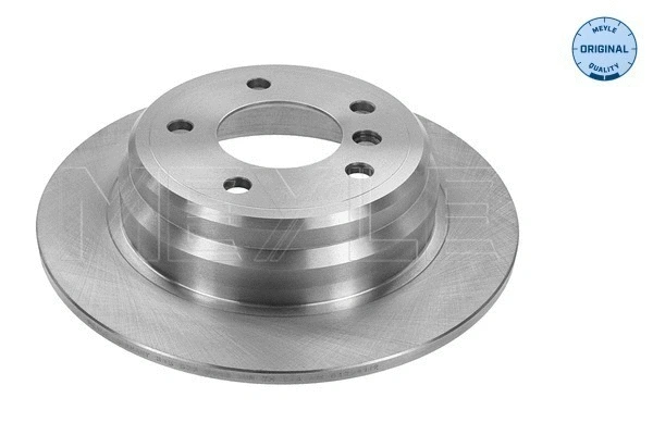 Brake Disc (315 523 0040)