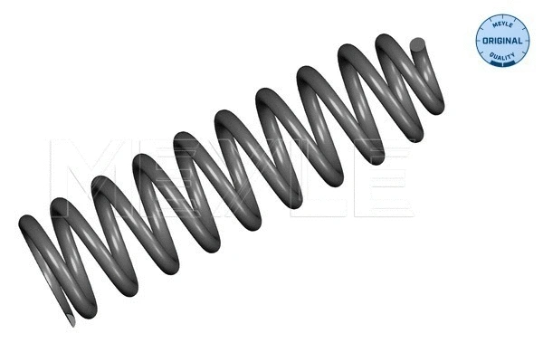 Suspension Spring (31-14 639 0000)