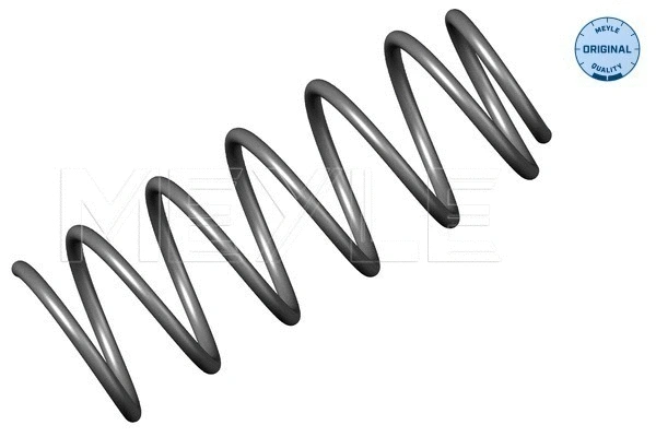 Suspension Spring (100 041 0002)