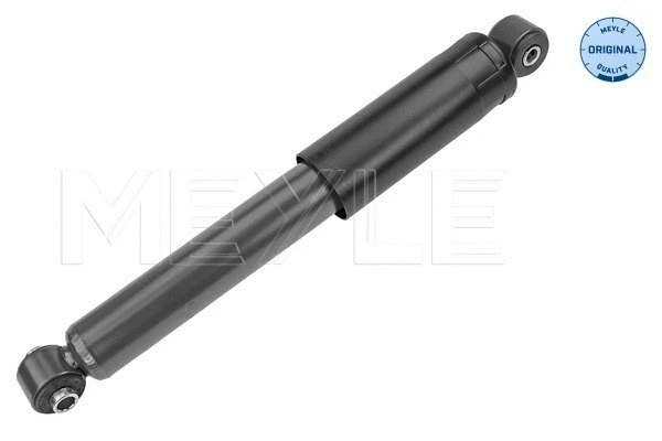 Shock Absorber (226 725 0009)
