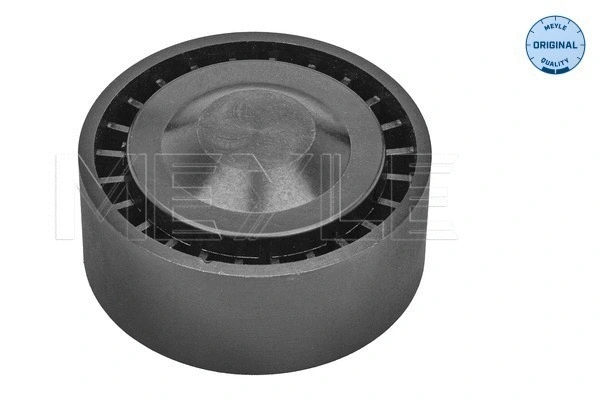 Deflection/Guide Pulley, V-ribbed belt (100 009 0016)