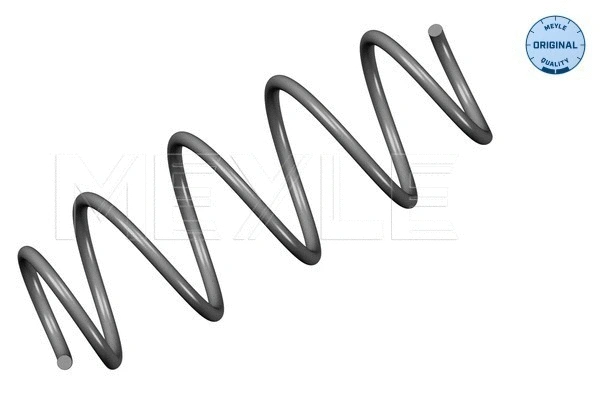 Suspension Spring (214 639 0000)
