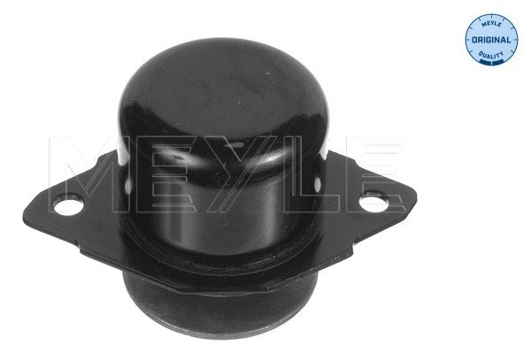 Mounting, engine (100 199 0027)