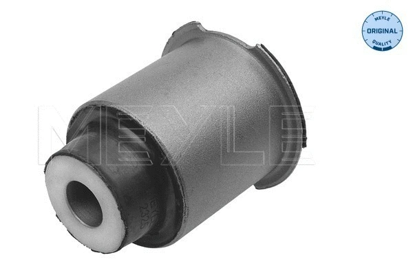 Mounting, control/trailing arm
