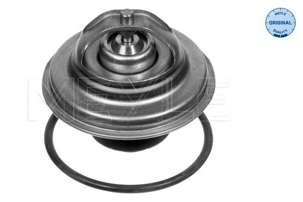 Thermostat, coolant (028 287 0005)