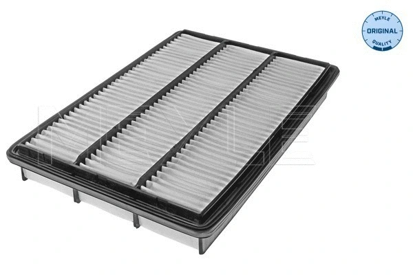 Air Filter (32-12 321 0009)