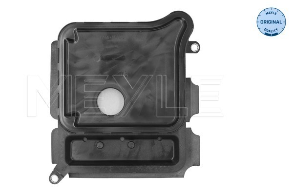 Hydraulic Filter, automatic transmission (300 136 0300)