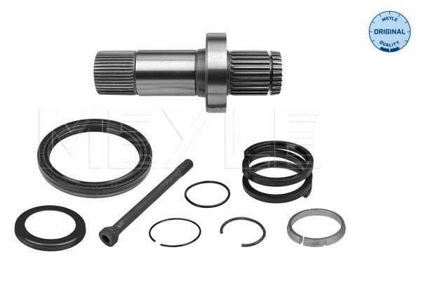 Stub Axle, differential (100 498 0242)