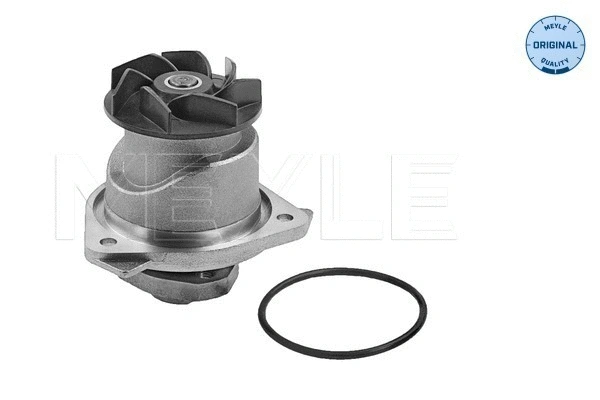 Water Pump, engine cooling (113 220 0012)