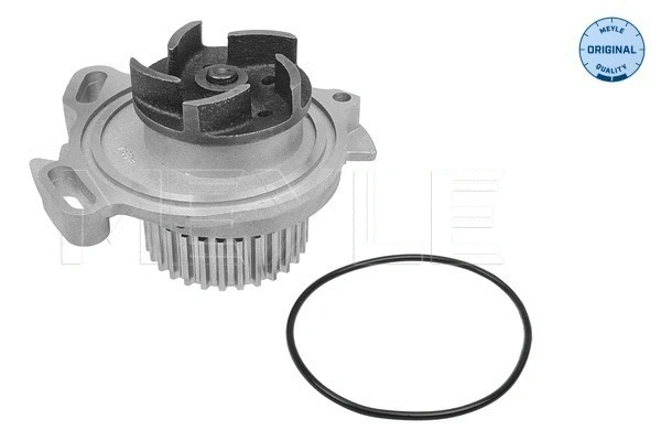 Water Pump, engine cooling (113 012 0006)