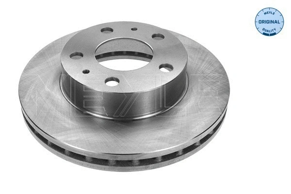 Brake Disc (215 521 0021)