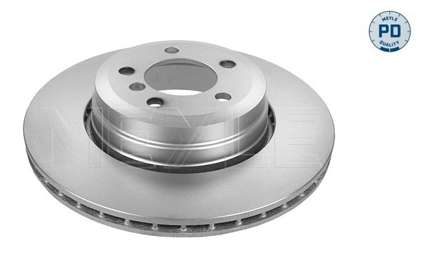 Brake Disc (315 523 0052/PD)