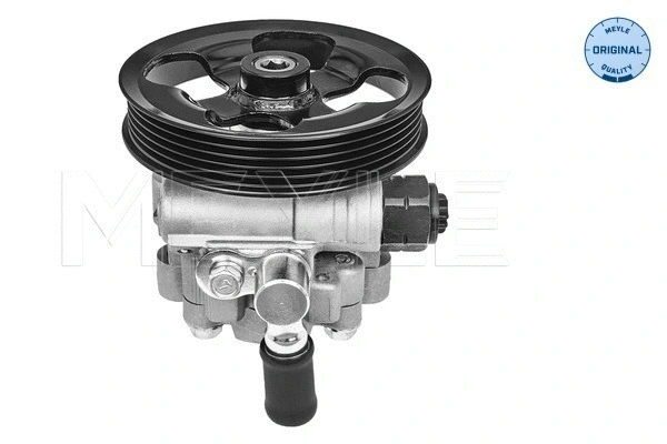 Hydraulic Pump, steering (30-14 631 0000)