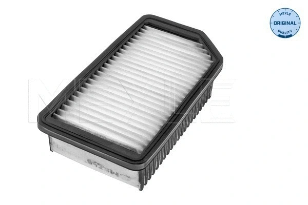 Air Filter (37-12 321 0024)