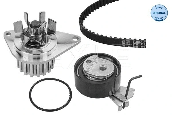 Water Pump & Timing Belt Kit (40-51 049 9001)