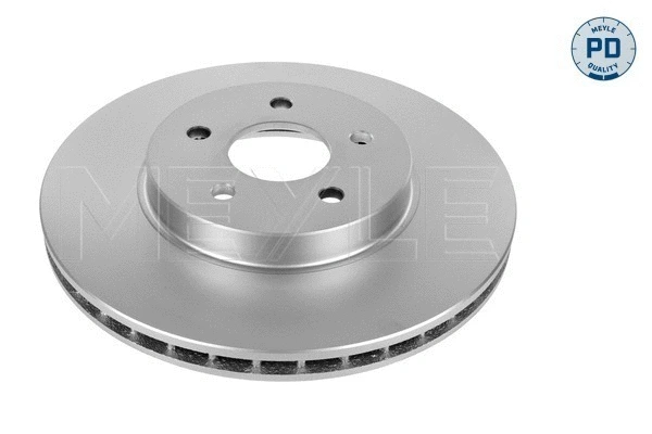 Brake Disc (783 521 7019/PD)