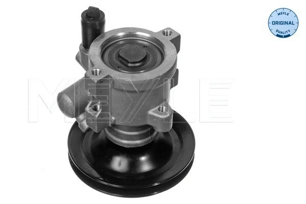 Hydraulic Pump, steering (614 631 0013)