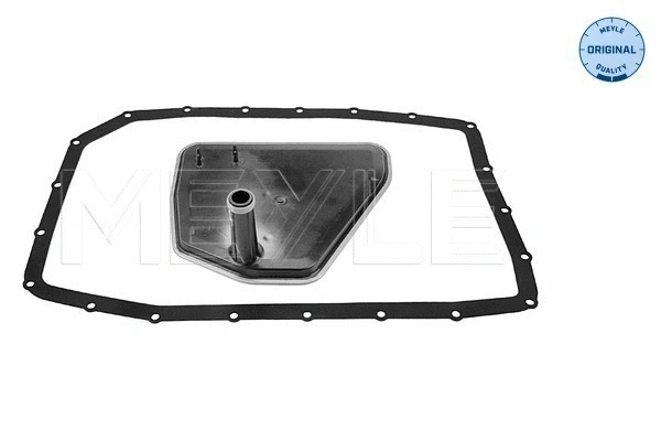 Hydraulic Filter Kit, automatic transmission (300 137 0002)
