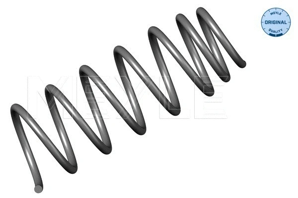 Suspension Spring (100 639 0029)