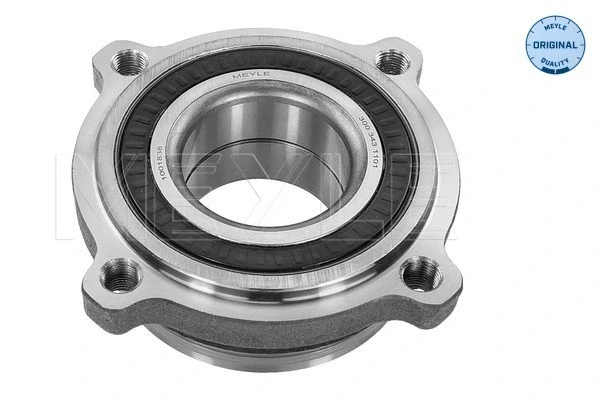 Wheel Hub (300 343 1101)
