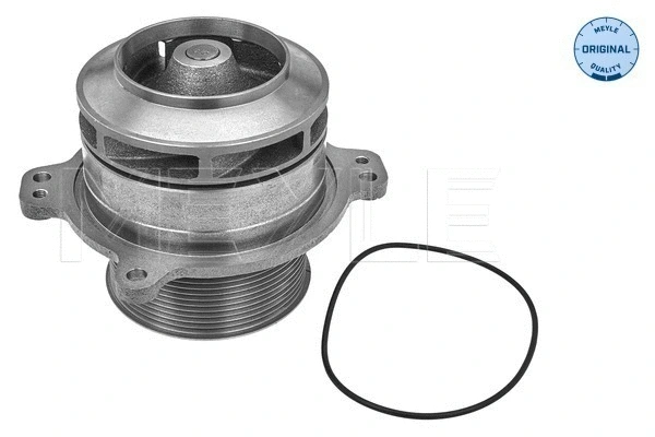 Water Pump, engine cooling (233 220 0005)