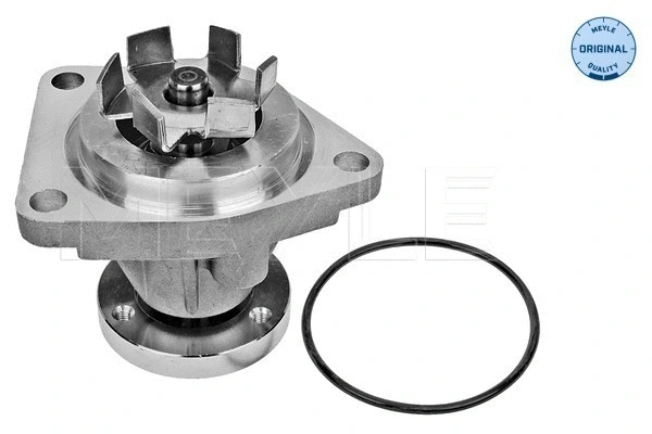 Water Pump, engine cooling (813 883 1944)