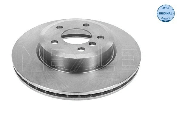 Brake Disc (315 521 3074)