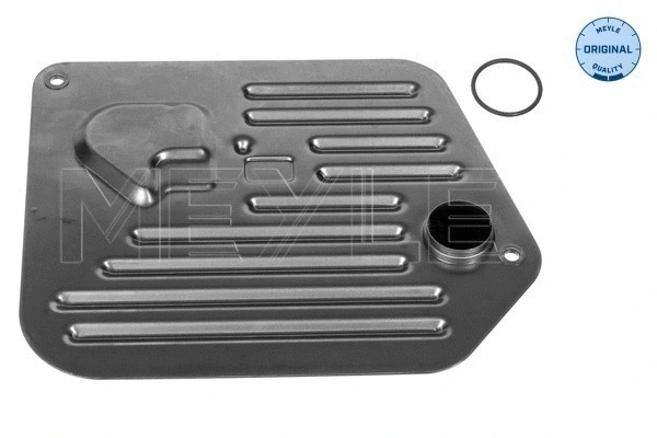 Hydraulic Filter, automatic transmission (100 136 0008)