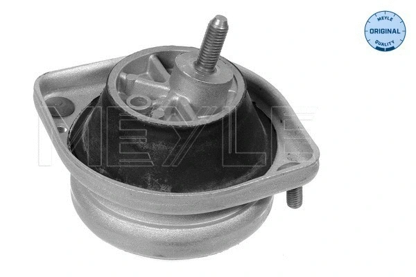 Mounting, engine (300 221 1103)